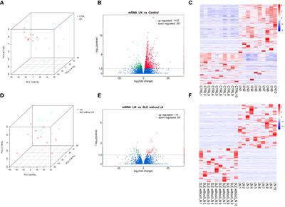 Uncovering lupus nephritis-specific genes and the potential of TNFRSF17-targeted immunotherapy: a high-throughput sequencing study